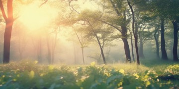 白天特别是早上适合听什么歌？