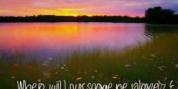 今年我们的歌究竟什么时候播？