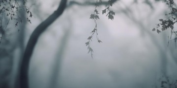 如今的我有点心凉究竟是哪首歌？