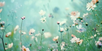 换到千般爱出自什么歌？