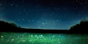 星星在夜空究竟是哪首歌？