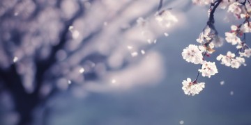 谁又很无辜出自哪首歌？