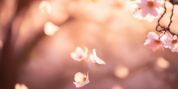 因为温暖的你这句歌词出自哪首歌？