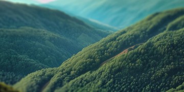 翻山越岭出自哪首歌？