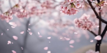 抛弃所有的哀愁出自哪首歌？