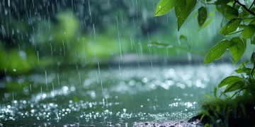 雨里风吹呀吹到底是哪首歌呢？