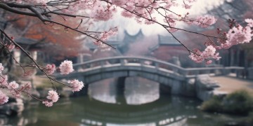 黄梅戏歌为何会被骂？
