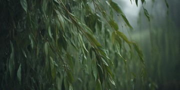 抑郁的人究竟适合听什么歌？