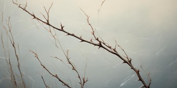感受过钻心的痛吗到底是哪首歌？