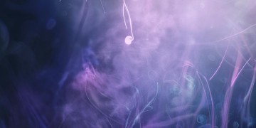 想你想你就哭了到底是哪首歌？