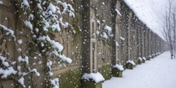 雪花要挣脱围墙究竟是哪首歌？