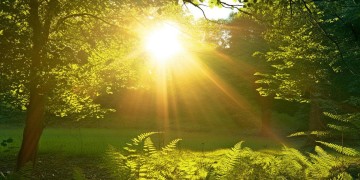 有太阳没有一点风究竟是哪首歌？