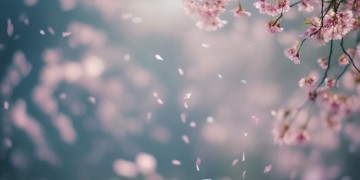 再能够回到你的身边出自哪首歌？