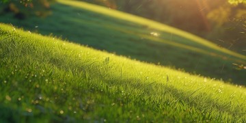 拥抱那山坡上出自哪首歌？