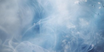 小白最后的结局究竟是哪首歌？