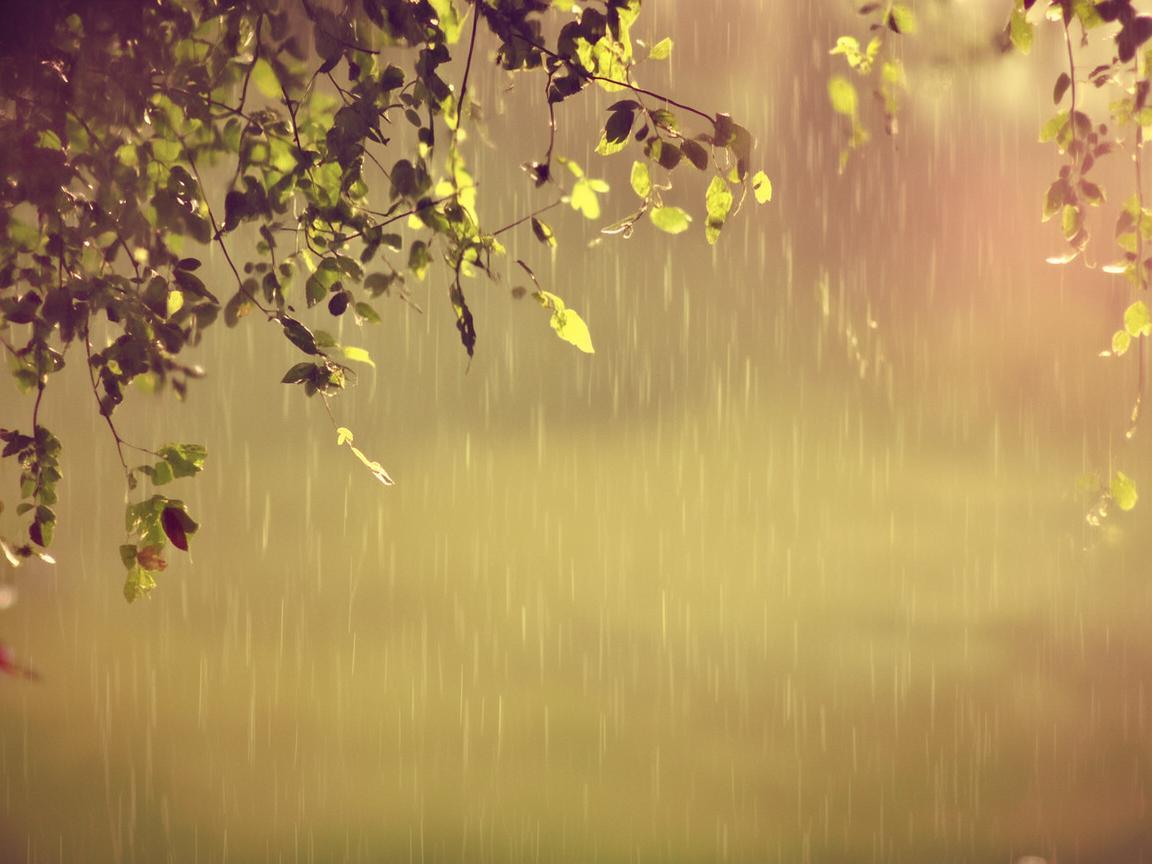 谁陪我遮风挡雨究竟出自哪首歌？