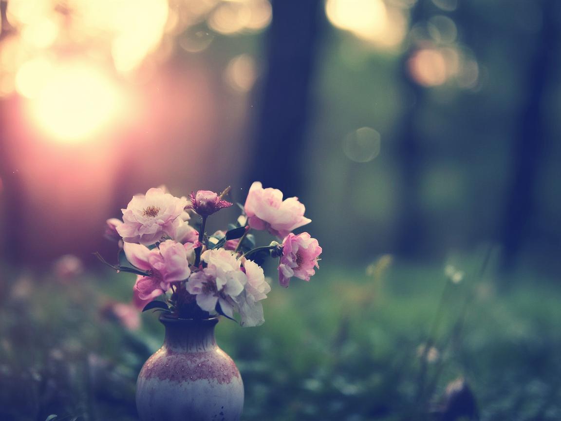 明天不能没有爱究竟是哪首歌? 明天不能没有爱究竟是哪首歌?