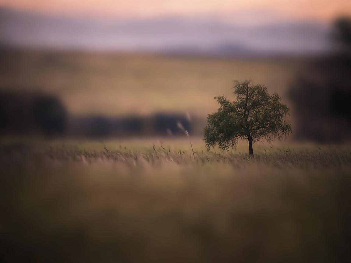 思念你的痛谁能懂究竟是哪首歌？