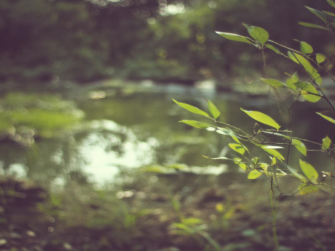 曾经是那么的懦弱出自哪首歌？